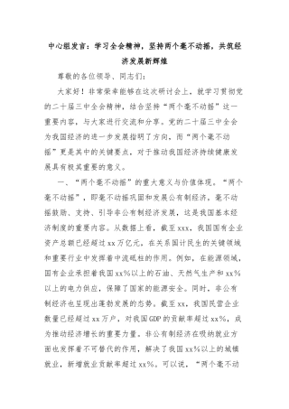 中心组发言：学习全会精神，坚持两个毫不动摇，共筑经济发展新辉煌