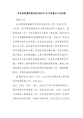 市自然资源和规划局2024年10月份重点工作安排