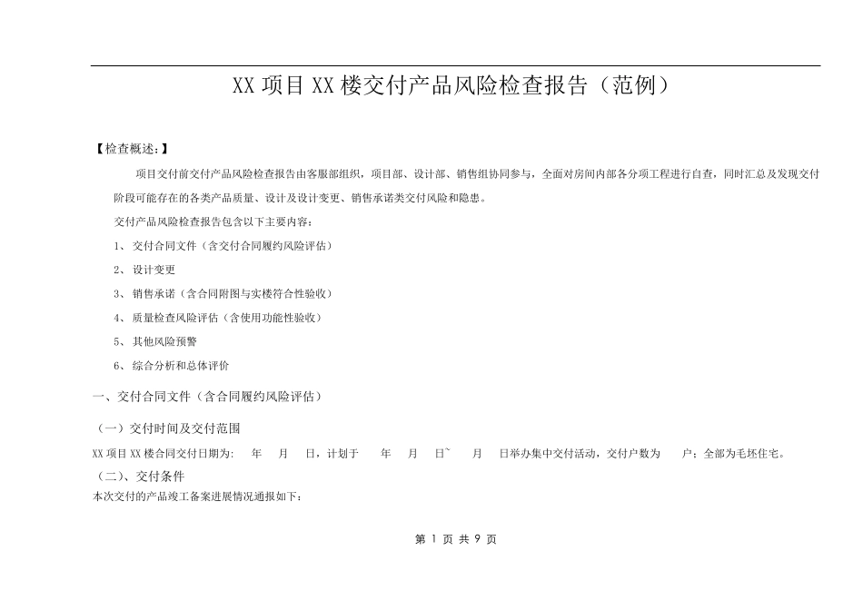 10交付产品风险检查报告_第1页