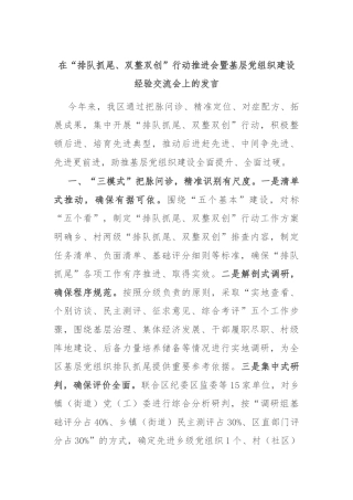 在“排队抓尾、双整双创”行动推进会暨基层党组织建设经验交流会上的发言