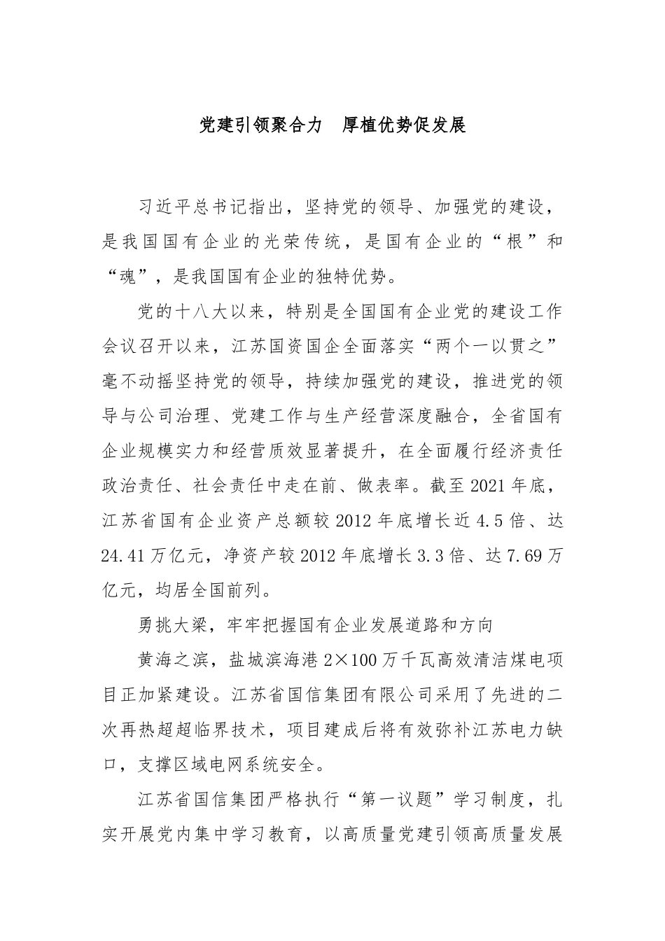 党建引领聚合力  厚植优势促发展_第1页