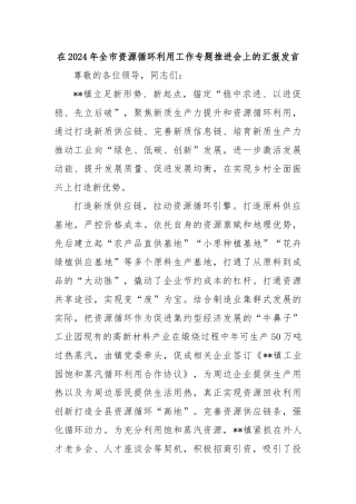 在2024年全市资源循环利用工作专题推进会上的汇报发言