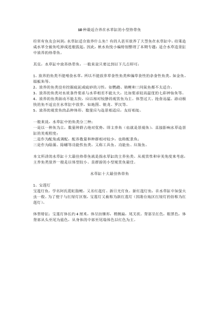 10种最适合养在水草缸的小型热带鱼