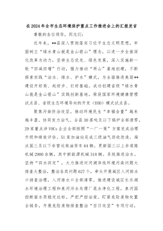 在2024年全市生态环境保护重点工作推进会上的汇报发言