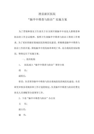 11.2013年脑卒中实施方案