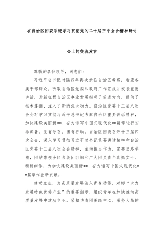 在自治区团委系统学习贯彻党的二十届三中全会精神研讨会上的交流发言