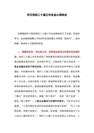 红色精美学习党的二十届三中全会心得体会（文稿）