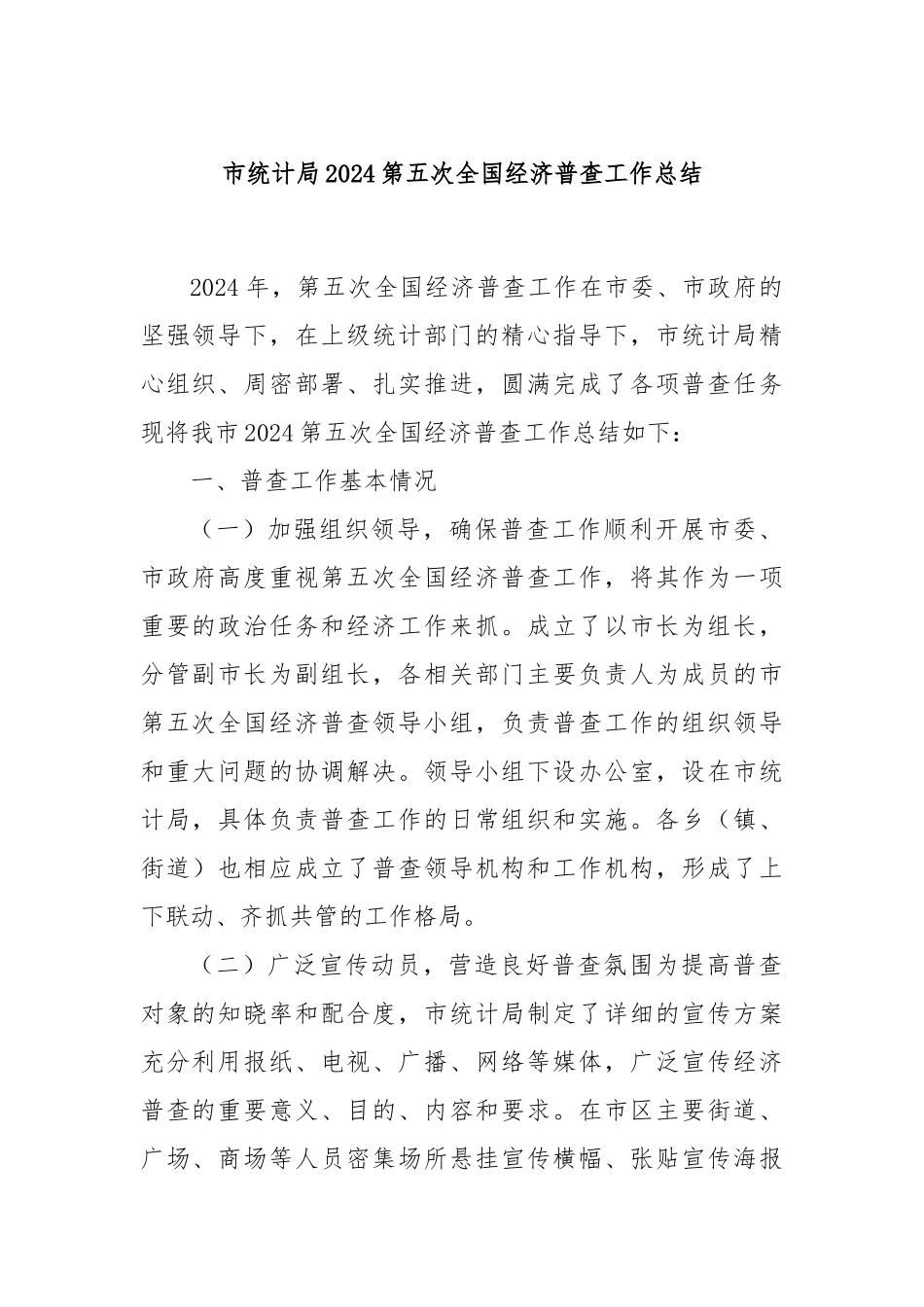 市统计局2024第五次全国经济普查工作总结_第1页
