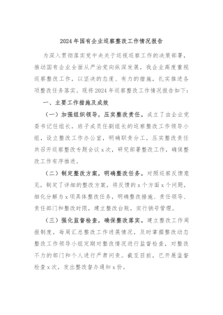 2024年国有企业巡察整改工作情况报告