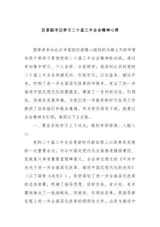 区委副书记学习二十届三中全会精神心得