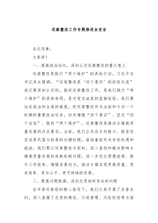 巡察整改工作专题推进会发言