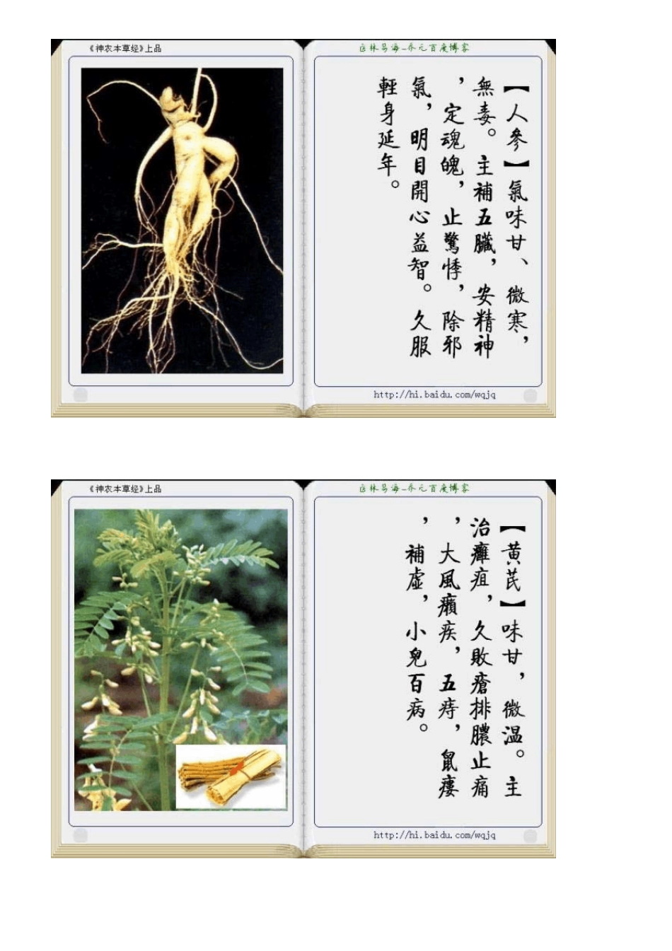 118味中草药[图文]_第2页