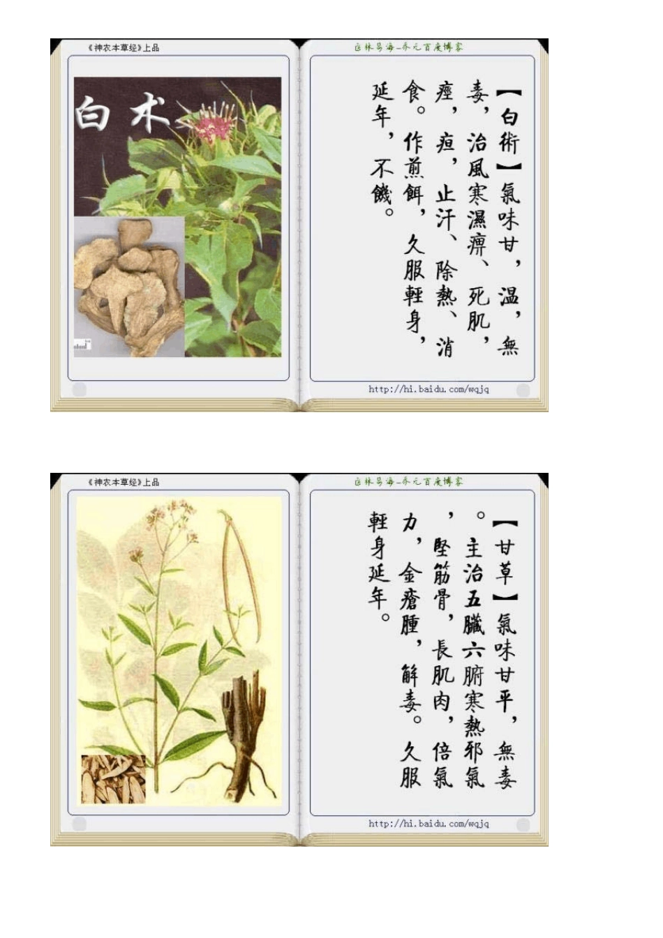 118味中草药[图文]_第3页