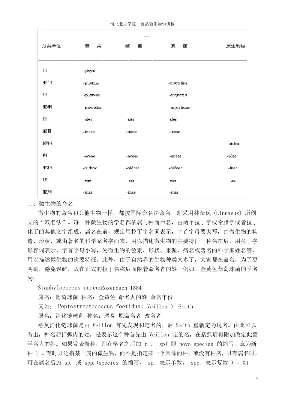 11微生物的分类及其分类方法_第3页