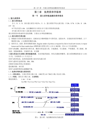 11第三章鱼类营养学原理蛋白质氨基酸营养