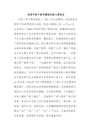 优秀年轻干部专题培训班心得体会