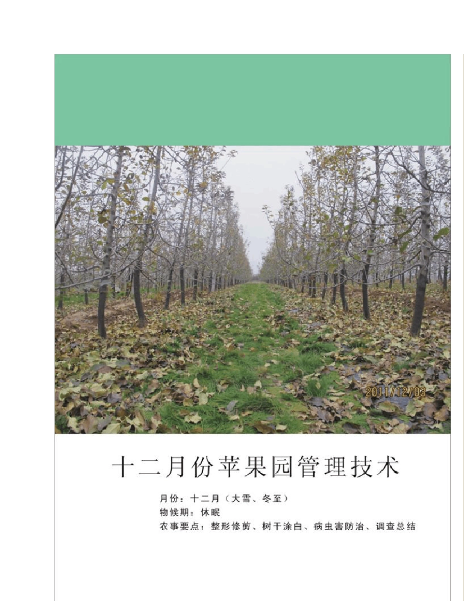 12月份苹果园管理技术_第1页