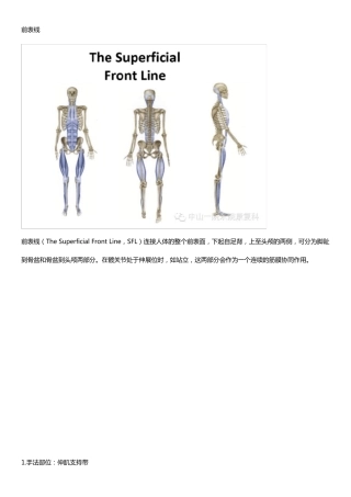 12条肌膜链及松解手法