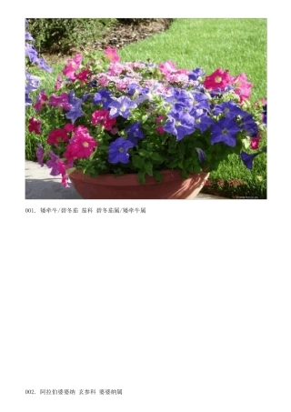 130余种常见植物图片
