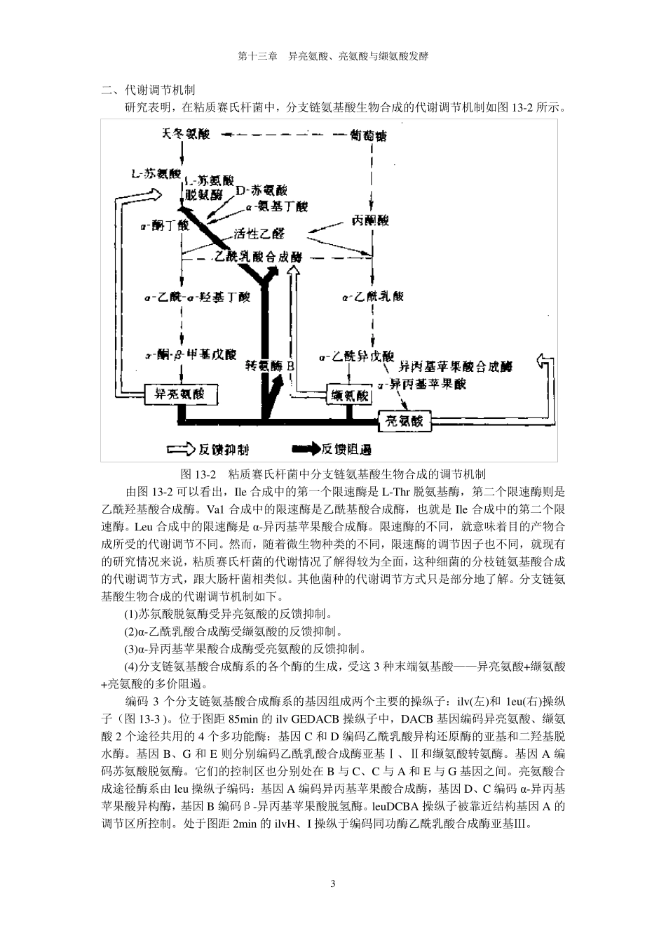 13_异亮氨酸_第3页