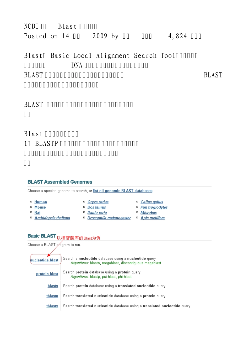 NCBI在线Blast的图文说明_第1页