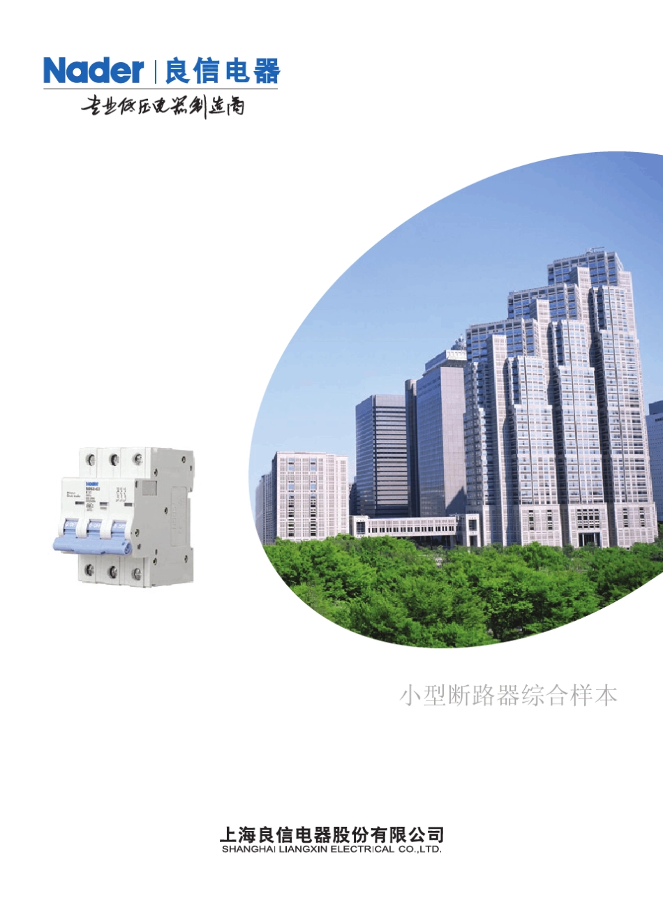 NDM系列样本_第1页