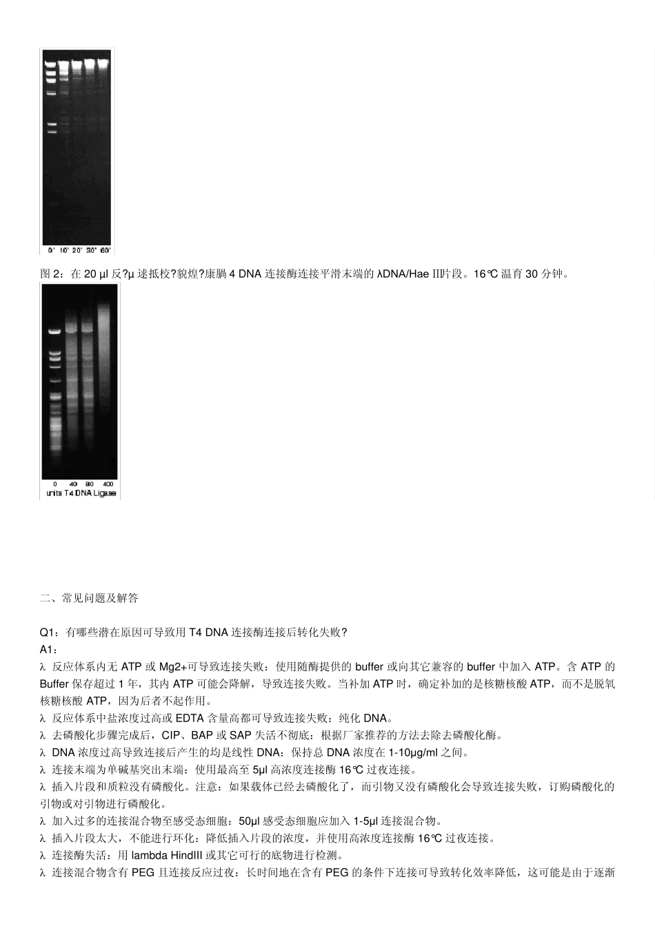 NEBT4DNALagase注意事项_第2页