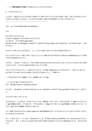 NEBT4DNALagase注意事项