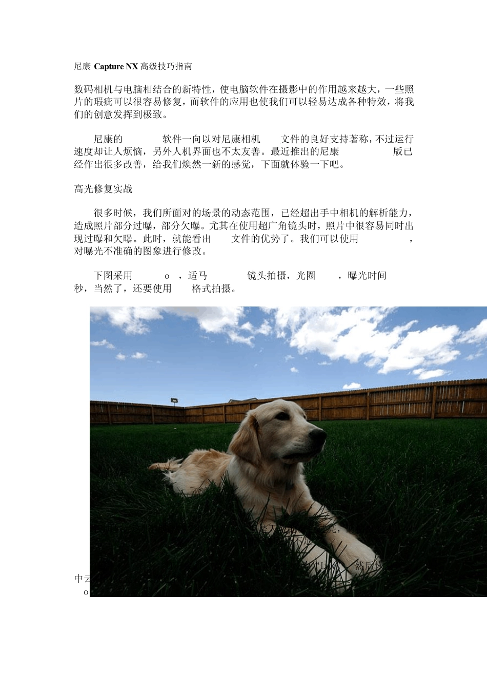 NikonCaptureNX2.2.6高级技巧_第1页