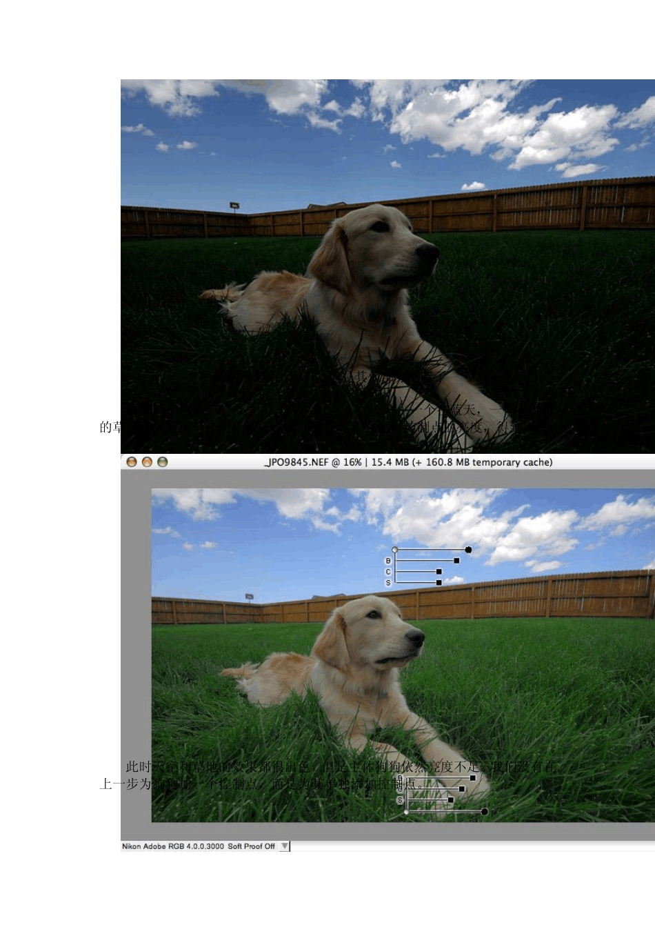 NikonCaptureNX2.2.6高级技巧_第2页