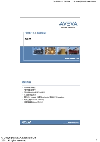 PDMS12.1基础培训TM1001AVEVAPlant(12.1)PDMSFoundations(GZ1)