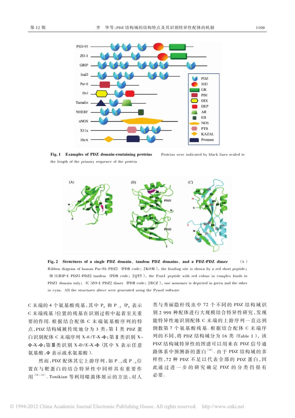 PDZ结构域的结构特点及其识别特异性配体的机制_第3页