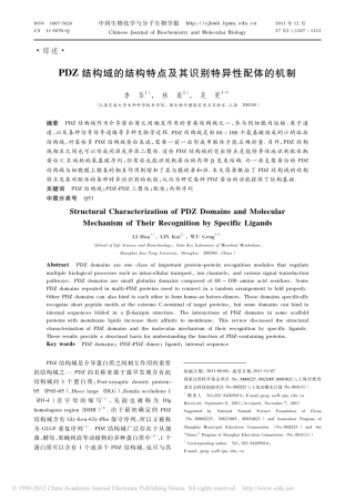 PDZ结构域的结构特点及其识别特异性配体的机制