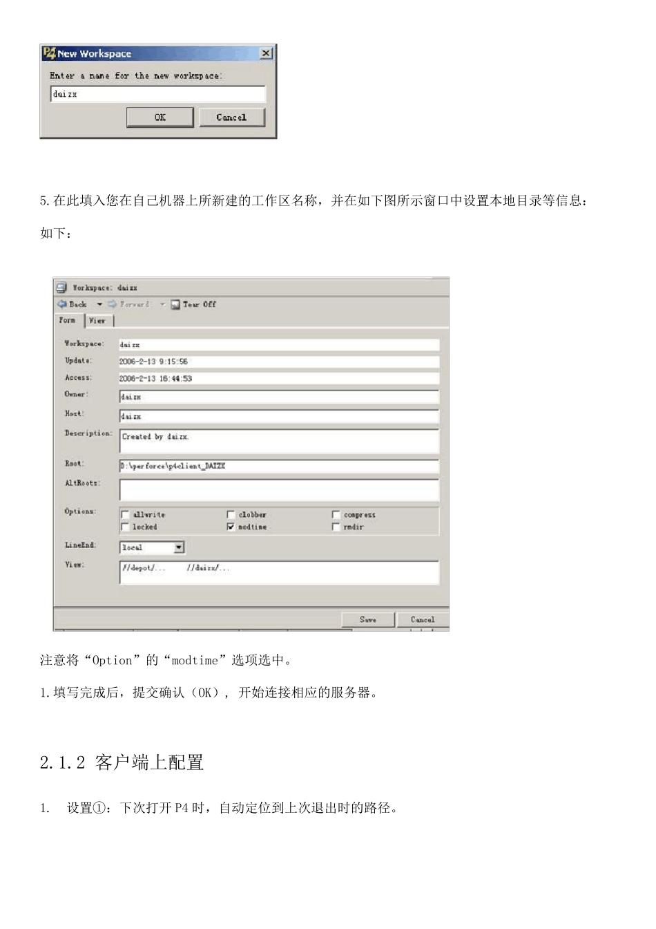 Perforce使用指南_forP4V_第3页