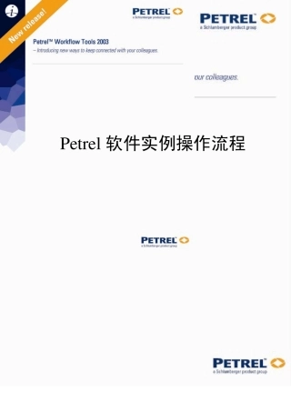 Petro软件实例操作流程