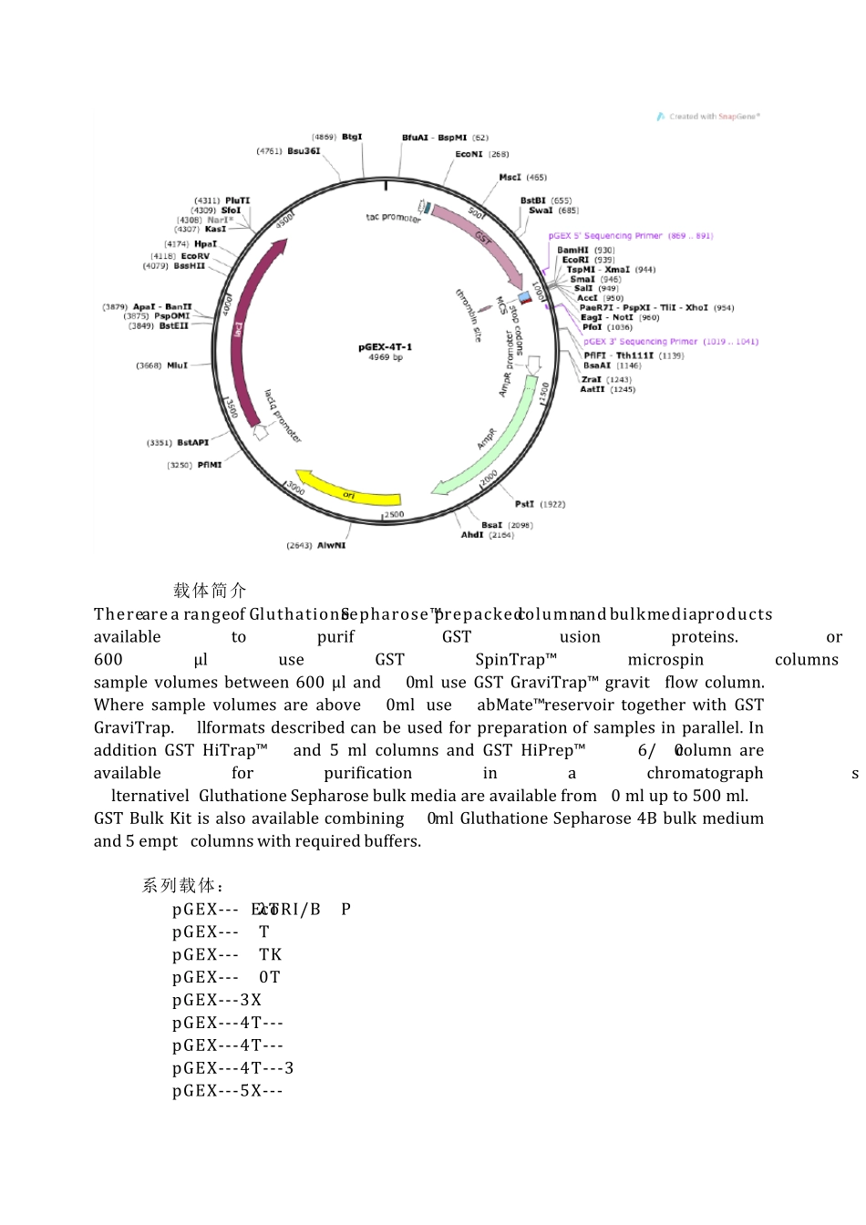 pGEX4T1大肠杆菌表达载体说明_第2页