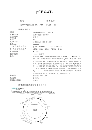 pGEX4T1大肠杆菌表达载体说明