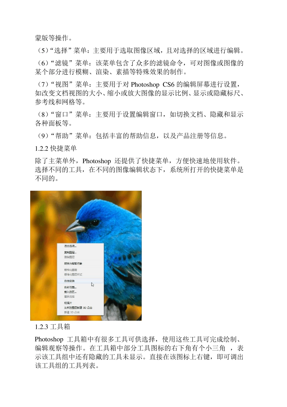PhotoshopCS6简介_第2页