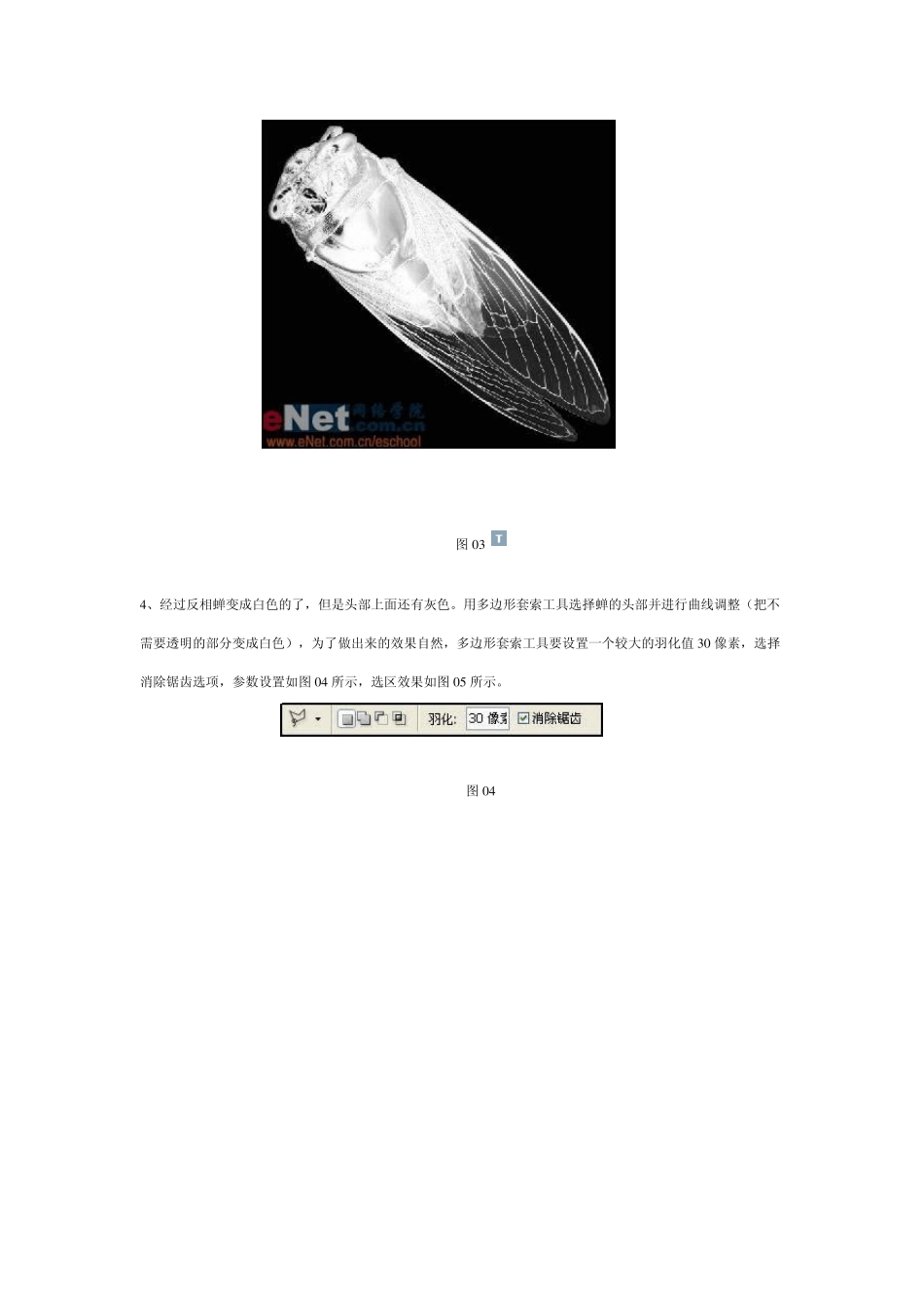 Photoshop作图技巧ps教程用Photoshop把知了“挪”到树叶上_第3页