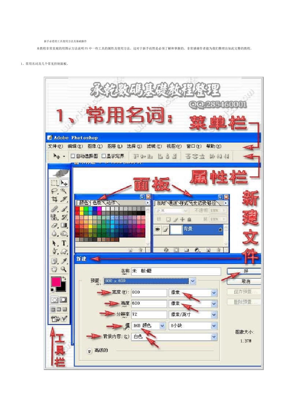 Photoshop新手必看的工具使用方法及基础操作_第1页