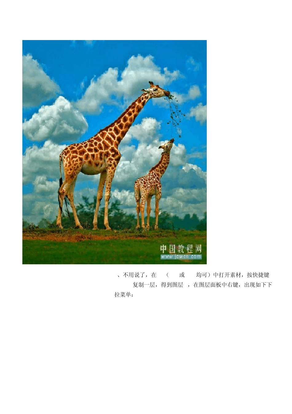 Photoshop综合处理增强照片的清晰度_第2页
