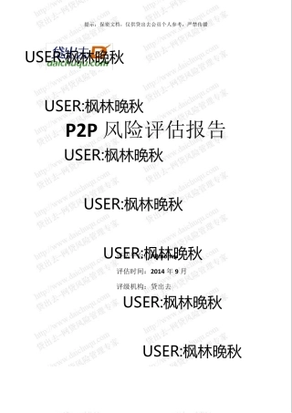 PPmoney风险评估报告(201409)