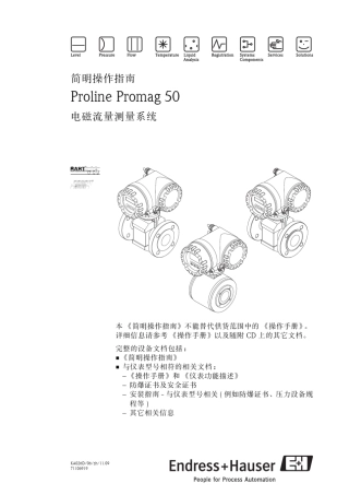 promag50电磁流量计