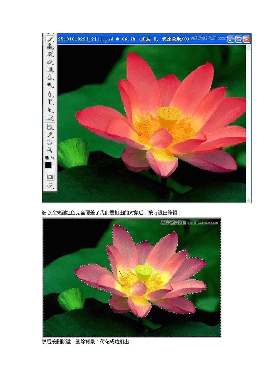 ps蒙版实例教程_第3页