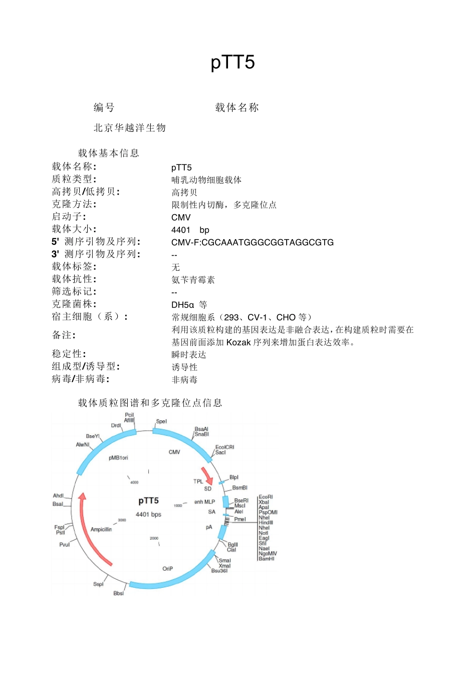 pTT5哺乳动物表达载体说明_第1页