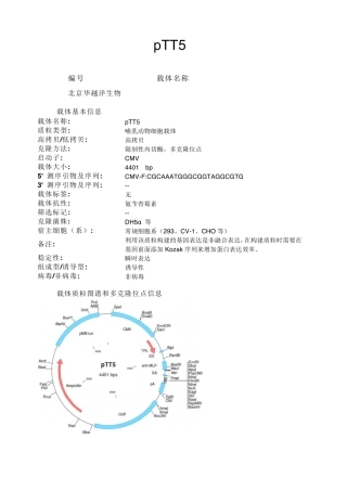 pTT5哺乳动物表达载体说明
