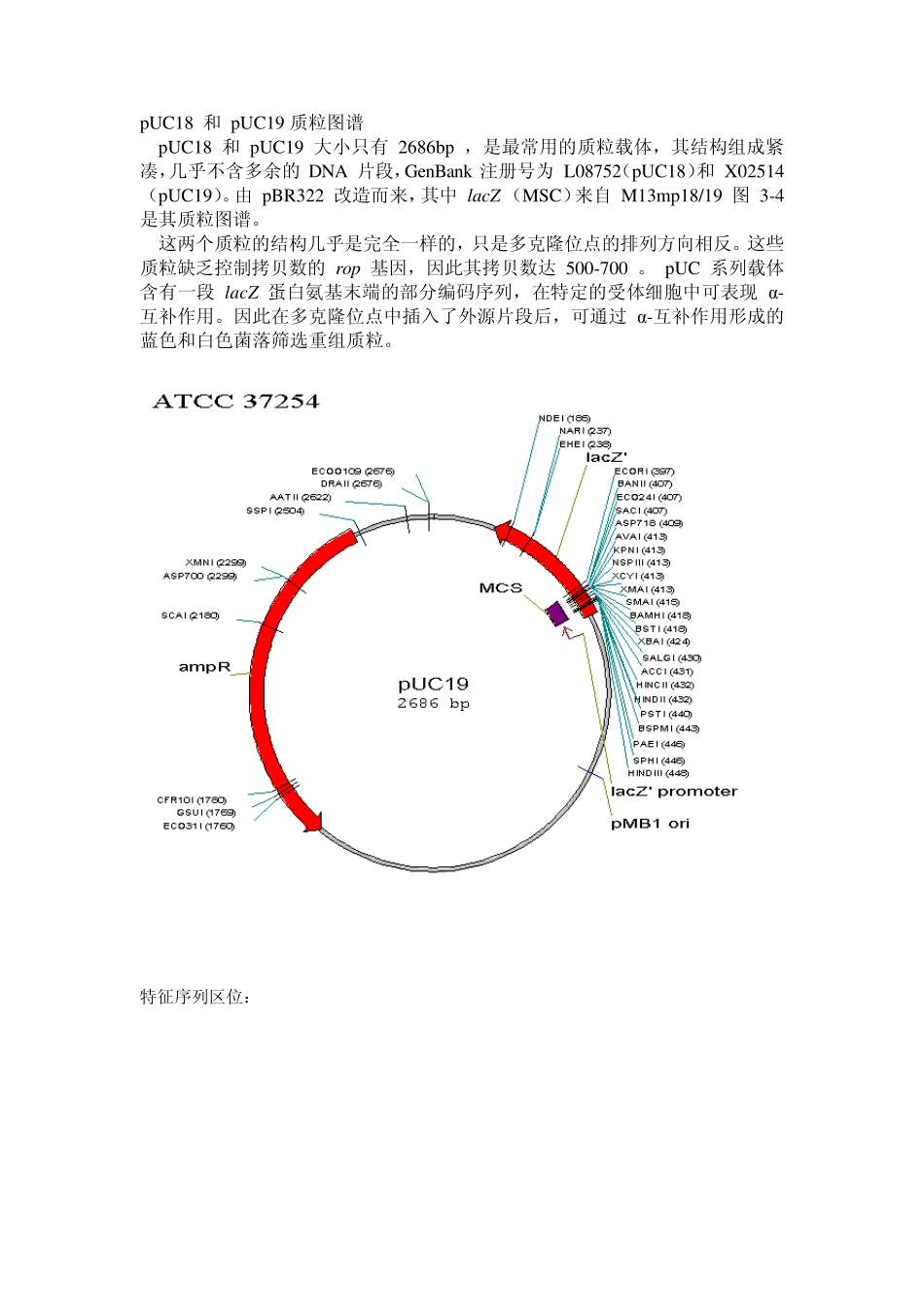 pUC18+和+pUC19质粒图谱_第1页