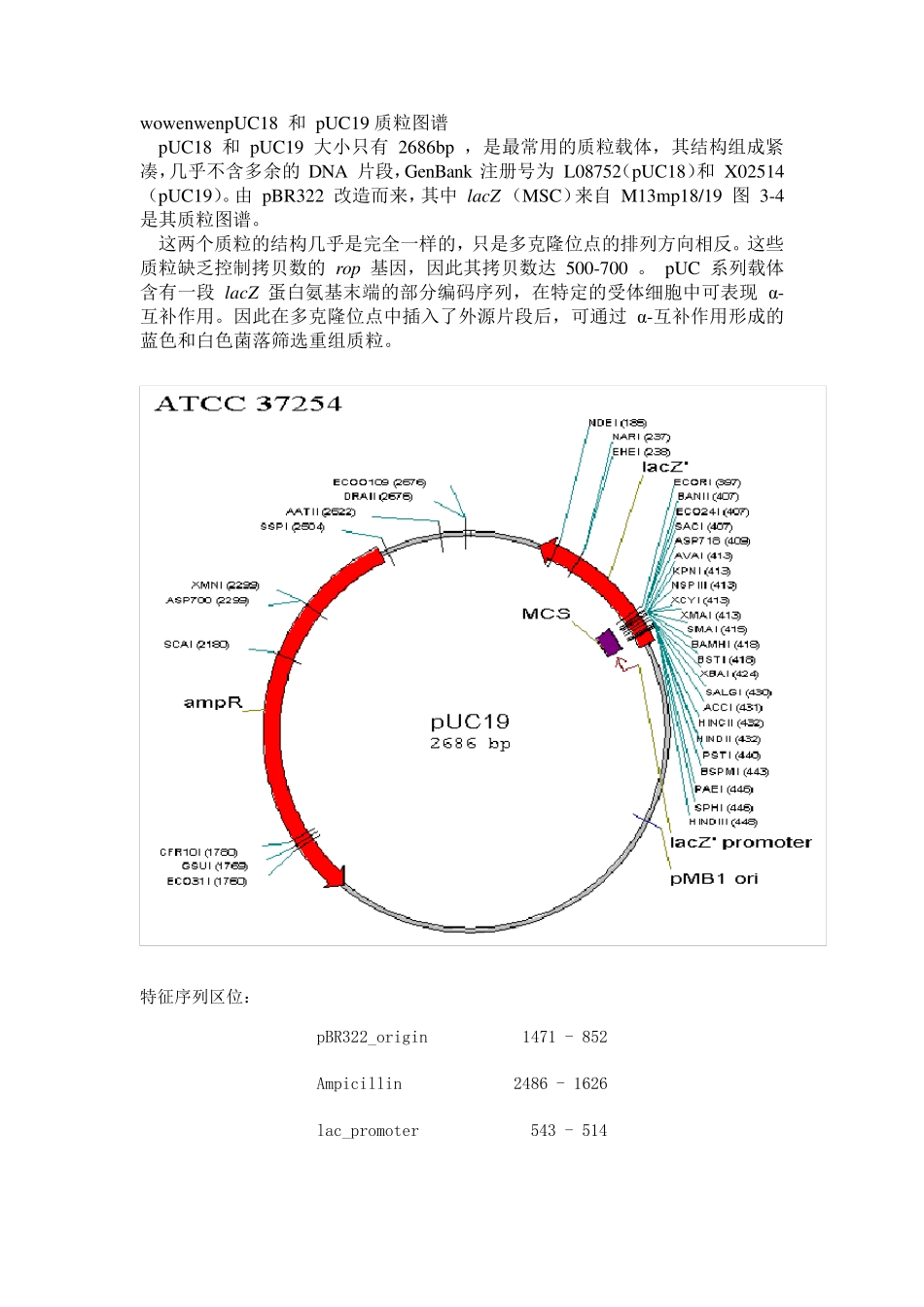 pUC18和pUC19质粒图谱_第1页