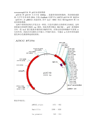 pUC18和pUC19质粒图谱