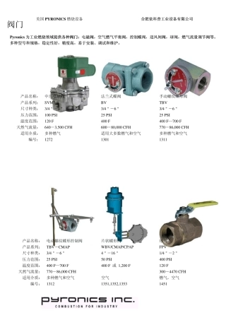 Pyronics燃烧设备样本资料